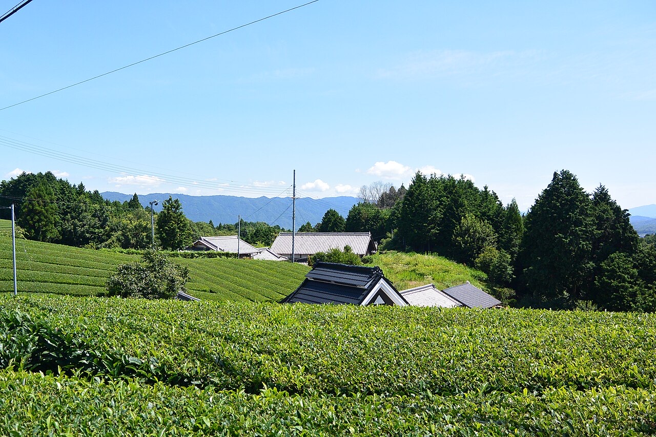 南山城村の風景